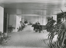 Štefan Svetko, Štefan Ďurkovič, Rajmund Müller – Hotel Bôrik v Bratislave. Detail interiéru, chodba s kvetmi. 