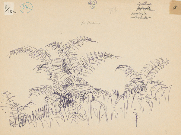 Emanuel Hruška – Rukopis knihy K tvorbe urbanistického prostredia. Papradie. 