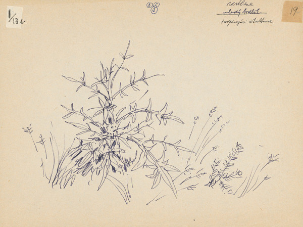 Emanuel Hruška – Rukopis knihy K tvorbe urbanistického prostredia. Bodliak. 