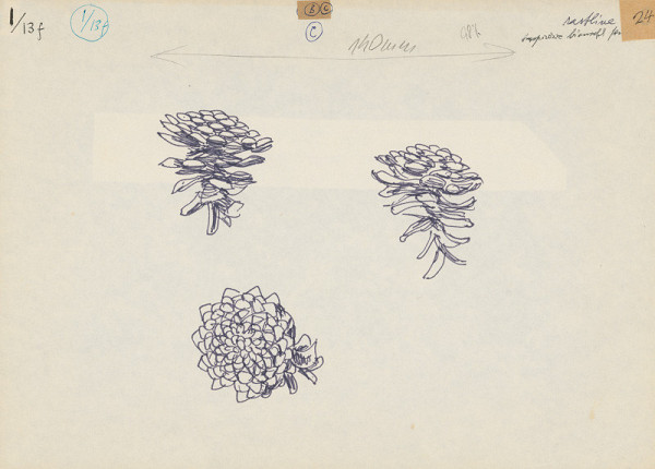 Emanuel Hruška – Rukopis knihy K tvorbe urbanistického prostredia. Šiška. 