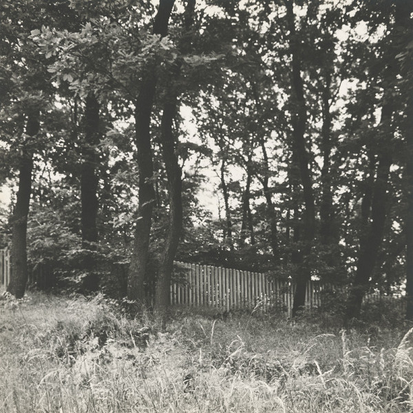 Ján Sturmayr – Realizované stavby v Bratislave. Oplotenie Zoo. Drevené koly 