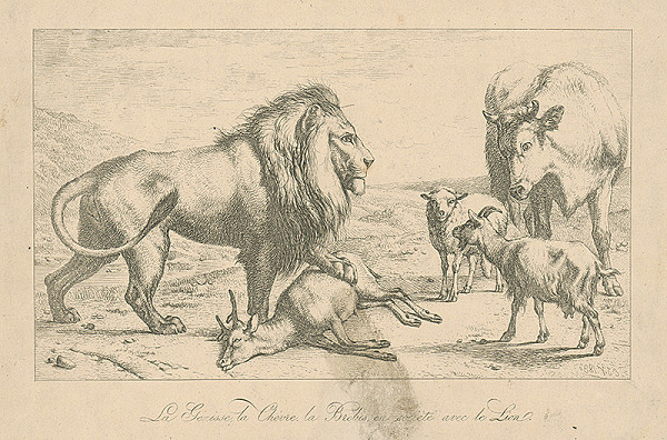 Francúzsky grafik E.J.V. z 19. storočia – Lev zabíjajúci srnu