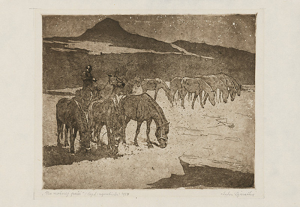 Anton Djuračka – Na nočnej paši 