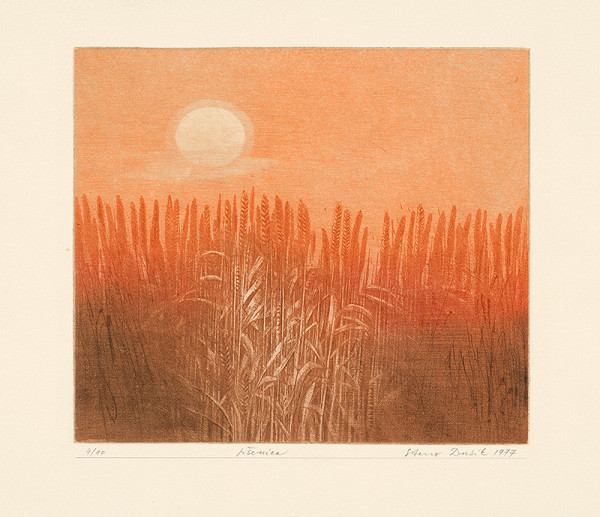 Stanislav Dusík – Pšenica 