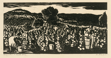 Matilda Čechová – Oberačka 
