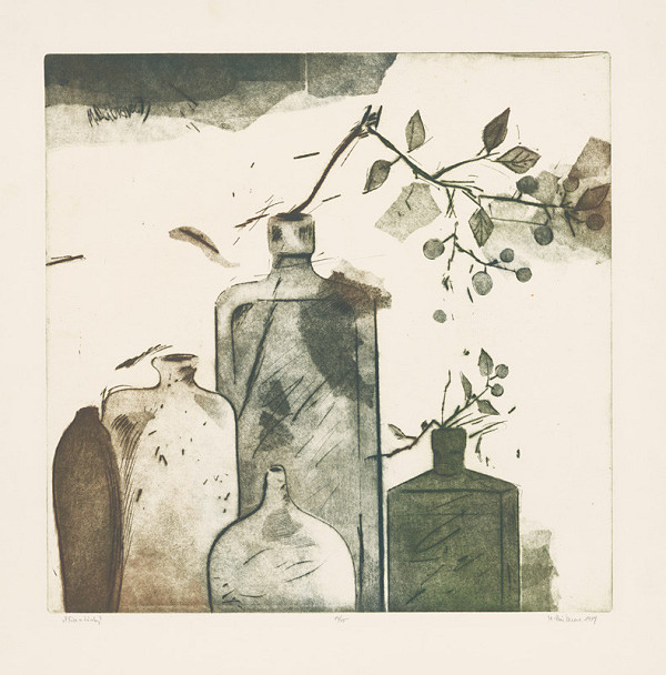 Marcel Dúbravec – Fľaše a trnky 