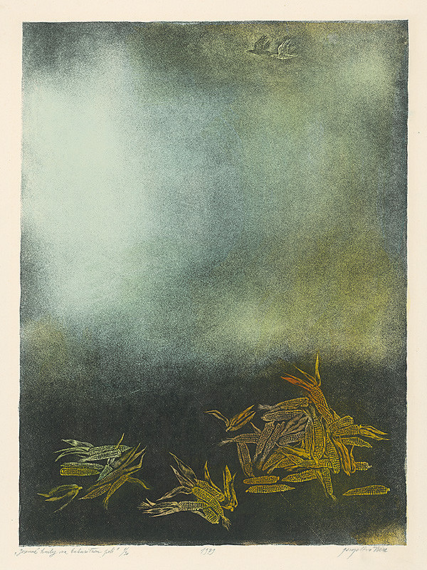 Viera Gergeľová – Jesenné hmly na kukuričnom poli 