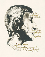 Dušan Grečner – Profil 