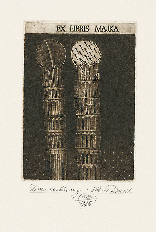 Stanislav Dusík – Dve rastliny 