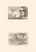 Annibale Carracci, Carlo Cesio – Daidalos a Ikaros, Herkules a Dragon,Tab.XXVII.1.,2. 