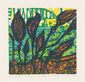 Eva Pokorná – Bayview street 