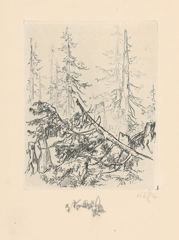 Jaroslav Vodrážka – Stromy v lese