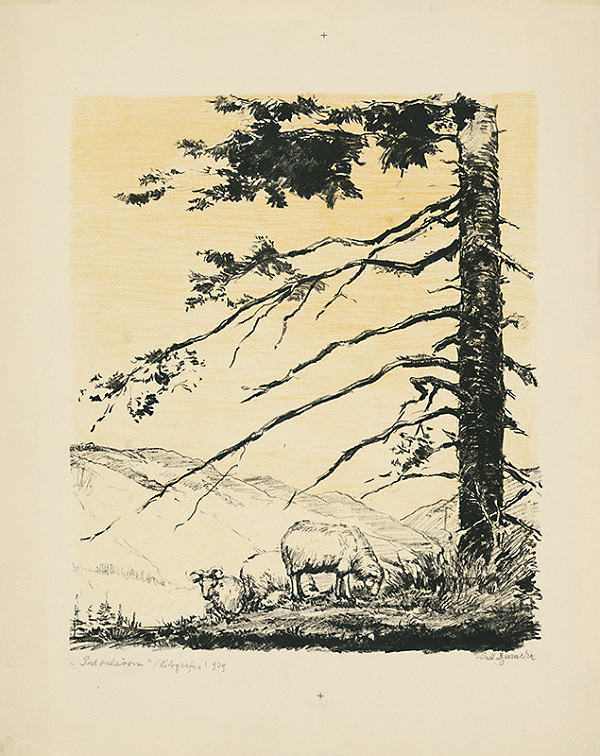 Anton Djuračka – Pod salašom 