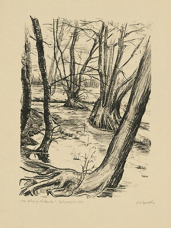 Anton Djuračka – Na Železnej studienke 