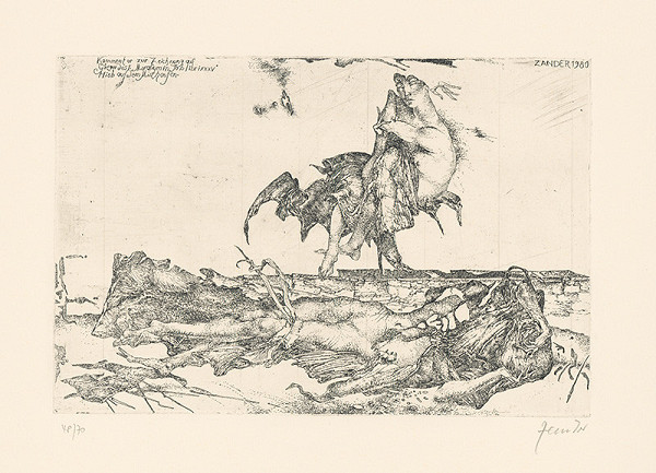 Heinz Zander – Hioba na smetisku 