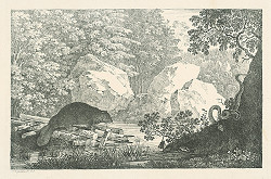 Max Josef Wagenbauer – Vydra 