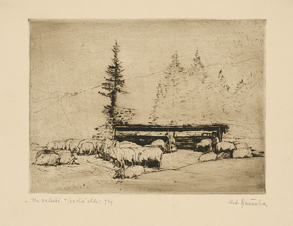 Anton Djuračka – Na salaši 