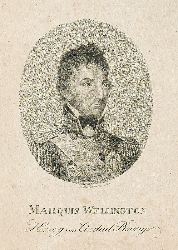 Petr Bohmann – Vojvoda Wellington