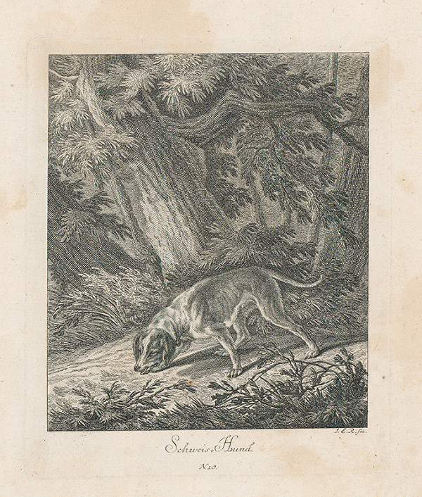 Johann Elias Ridinger – Stopujúci pes
