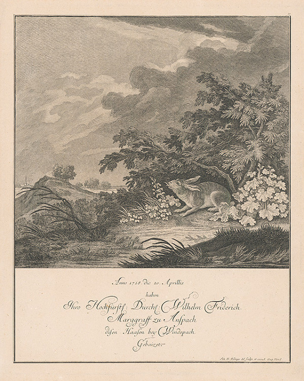 Johann Elias Ridinger – Zajac 