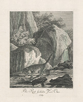 Johann Elias Ridinger – Ondatra na love 