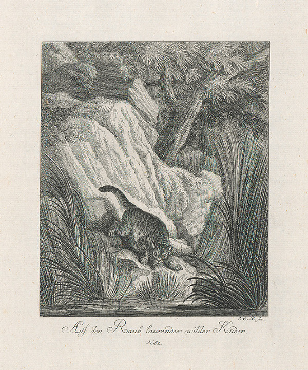 Johann Elias Ridinger – Rys na love 