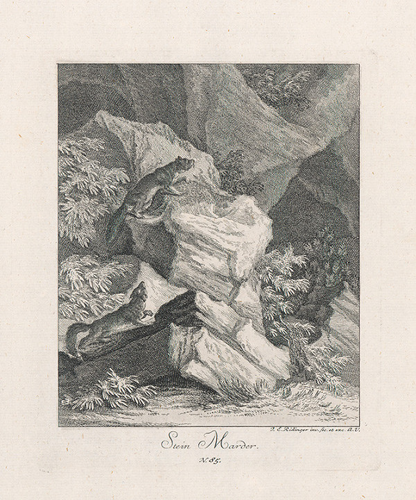 Johann Elias Ridinger – Loviace líšky 