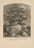 Johann Elias Ridinger – Zajac s 8 nohami 