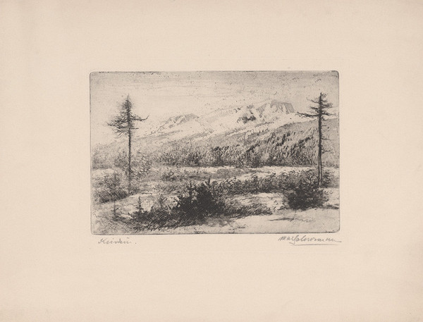 Maximilián Schurmann – Kriváň 