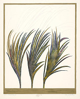 Viera Gergeľová – Jeseň 