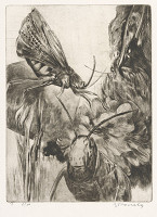 Bořivoj Borovský – Kobylky 