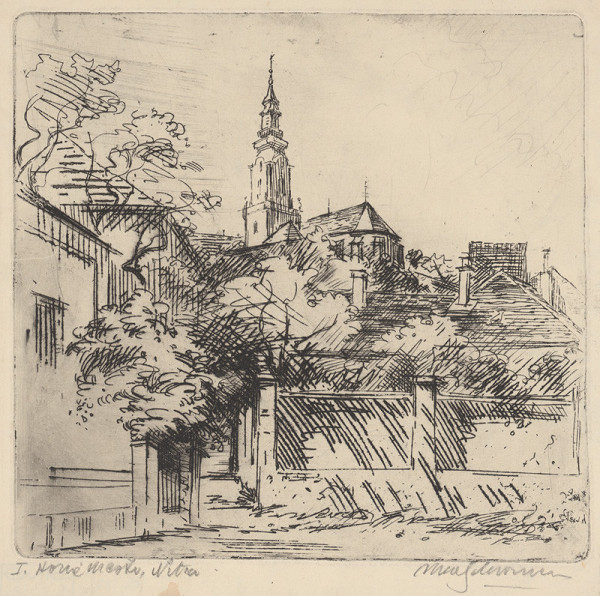 Maximilián Schurmann – Horné mesto Nitra 