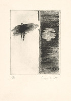 Jiří Mika – Ikarus 