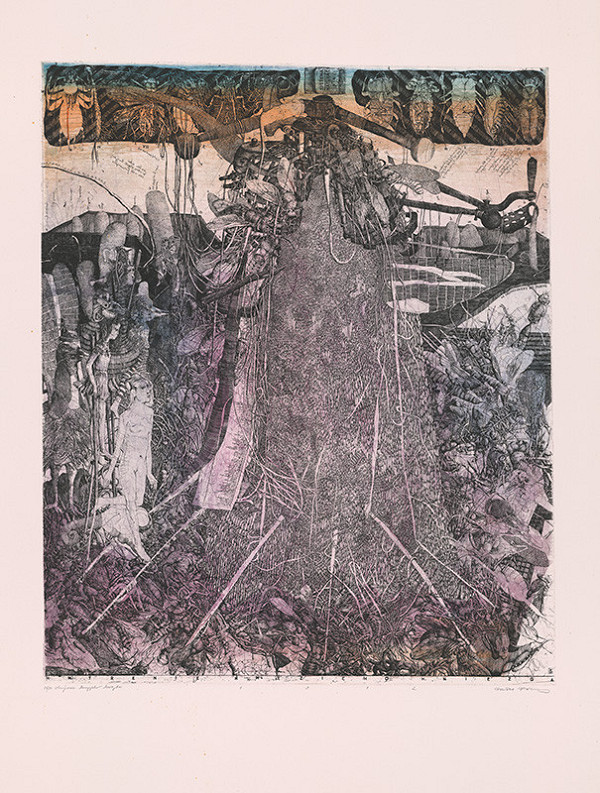 Dušan Kállay – Hmýrenie hmyzieho hniezda