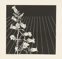 Orest Dubay – Všedný deň VI. 