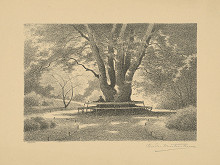 Jozef Blanarovits – V Horskom parku 