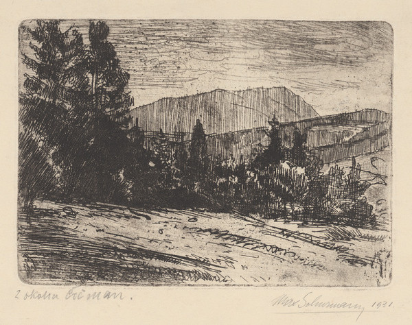 Maximilián Schurmann – Z okolia Čičmian 