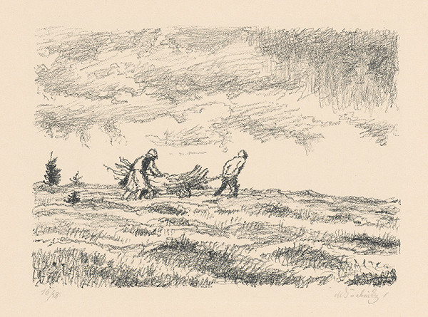 Max Švabinský – S raždím 