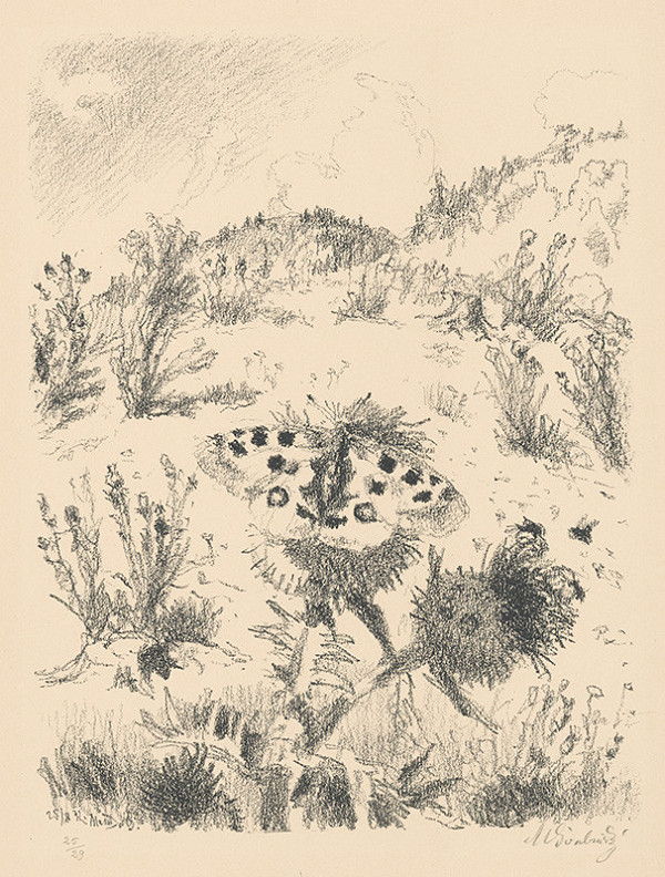 Max Švabinský – Babočka Bodliaková 