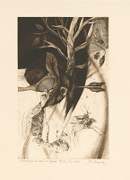 Rumen Skorčev – Variácie na Dürerovu tému 