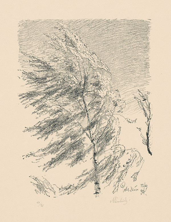 Max Švabinský – Briezka vo vetre 