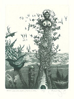 Albín Brunovský – Labyrint sveta a raj srdca II. - Fortúnin hrad 