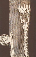 Štefan Schwartz – Ilustrácia ku knihe: Genadij Ajgi: Die Frau von rechts 