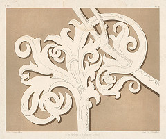 J. Lehnhardt – Ornament z farského kostola v Gelnhausene 