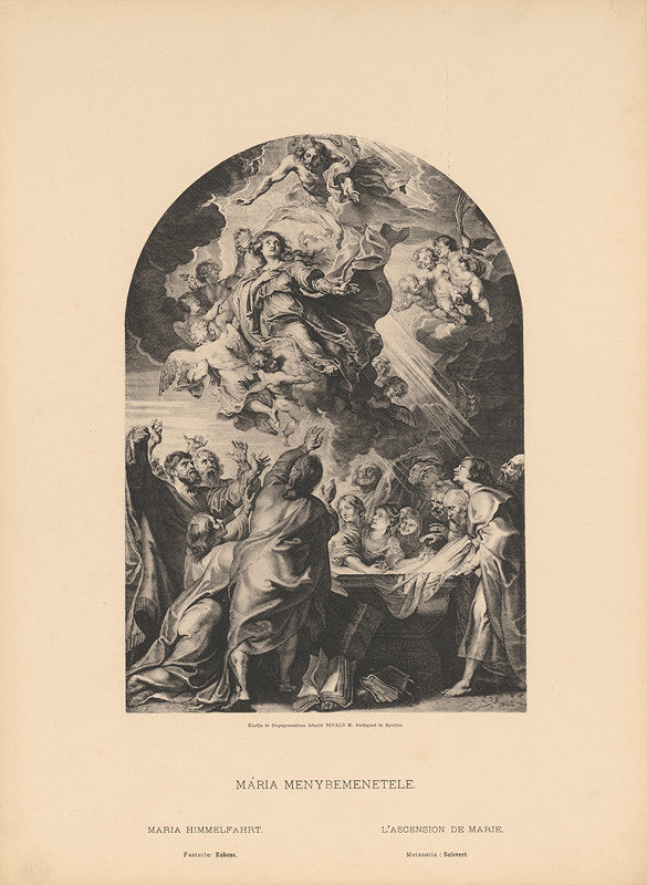 Karol Divald – Peter Paul Rubens - Schelte a Bolswert: Nanebovzatie Panny Márie