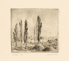 Endré Banó – Krajina s topoľmi 