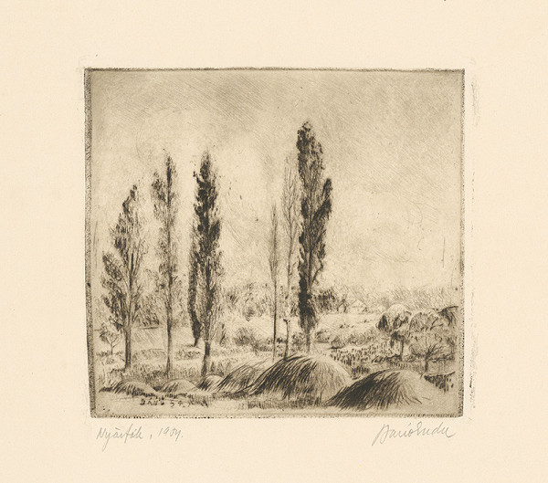 Endré Banó – Krajina s topoľmi 