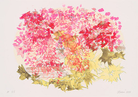 Lucia Oleňová – Brdárka 