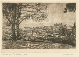 Anton Djuračka – Pohľad na Bratislavu I. 