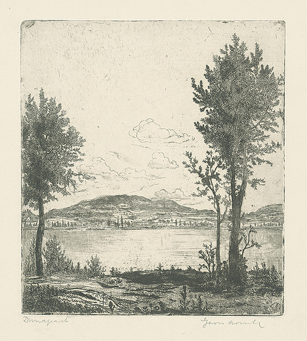 Arnold Gross – Dunajská krajina 